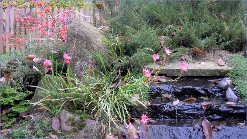 WelcomeGarden